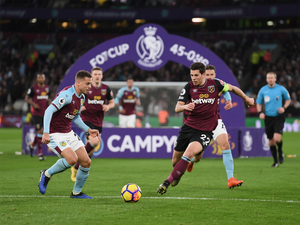 不仅是各支 不仅是各支